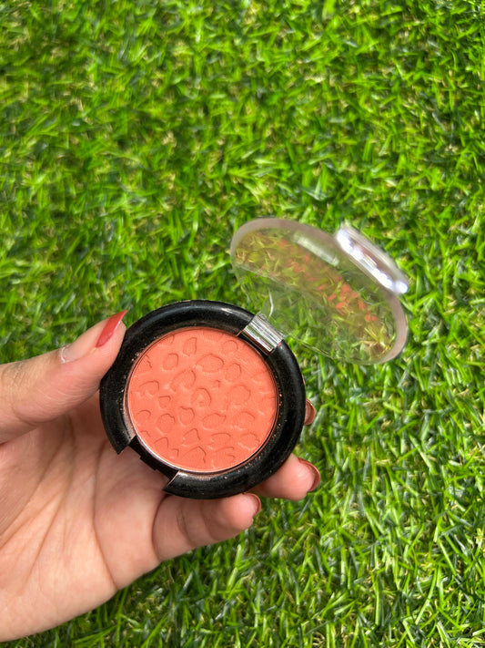 Technic Mini Blush